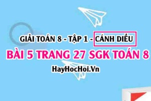 Giải bài 5 trang 27 Toán 8 Tập 1 SGK Cánh Diều